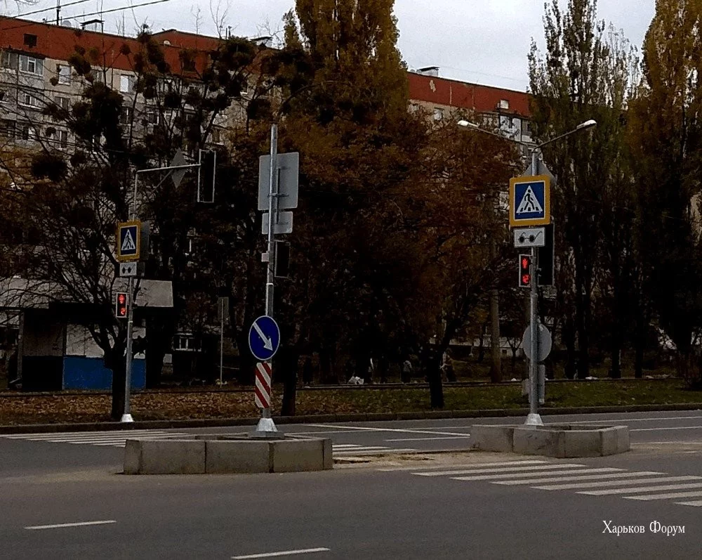 964177162846a554211e8a.webp