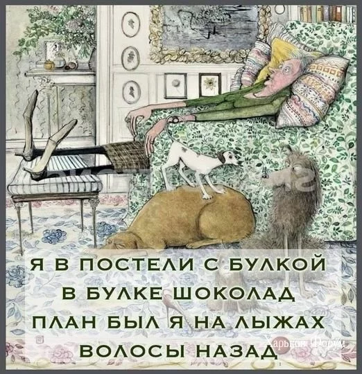 964b384a9e9d3bf63ec1a.webp
