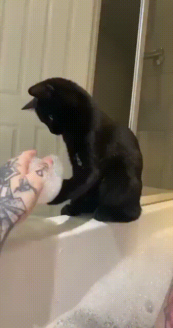 965d367650490141de.gif