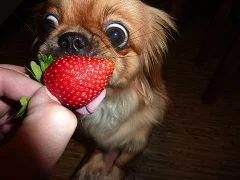 9660d336fe55d74826680eb46bd7372e.webp