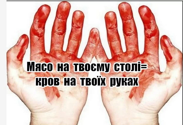 96627ab35c61e755076f9b4c3ac6d940.webp