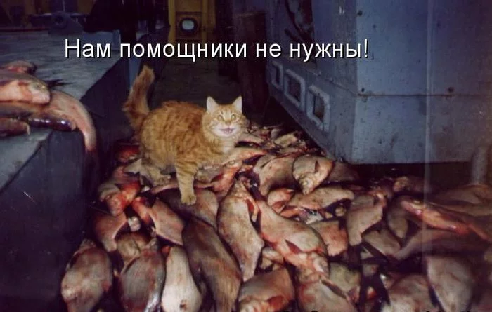 9669047.webp