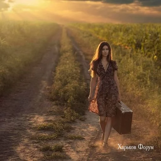 96a1d3f53563b1e17e395c0.webp