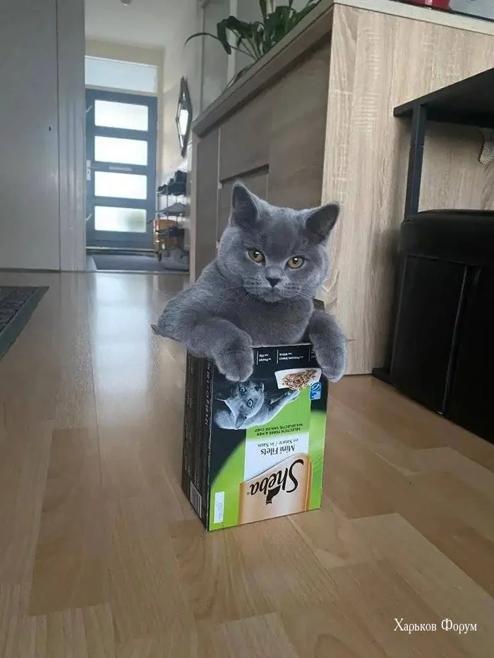 96d7dfcb0a6ddd0662f1.webp