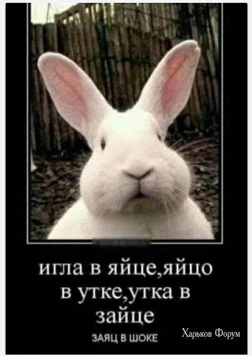 96e1a6c7da1ff93f.webp
