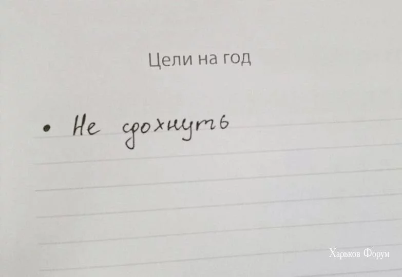 96e4e297c28b4cedce5.webp