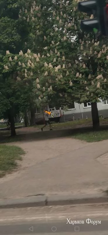 96ead3271667c5b7c9.webp