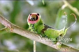 96fe3a37af514a608b.webp
