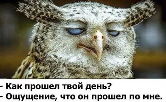 97142a1f2a932280.webp