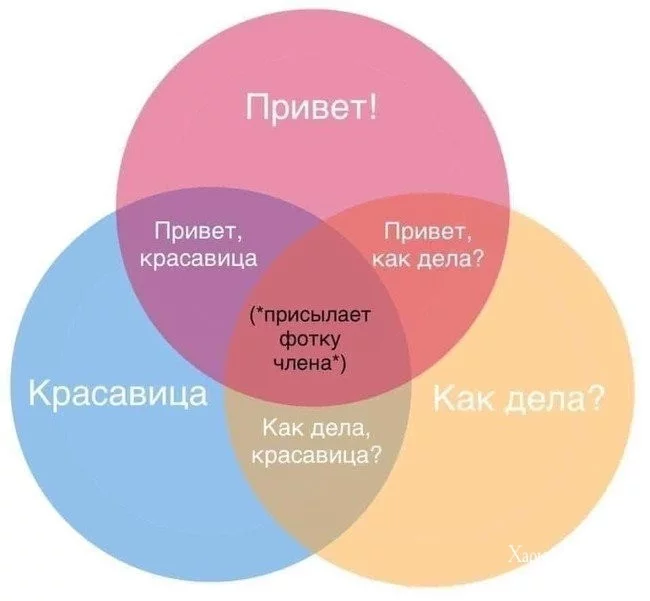 971e9533554e4725f6f.webp