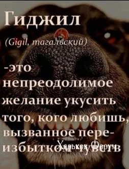 972ca49299a585b1c2668e6.webp
