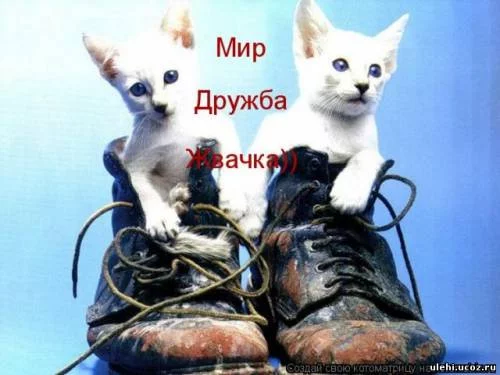 973433789.webp