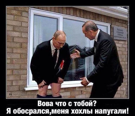 9753_main.webp