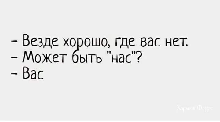 97608dd5d16fcb33bac.webp