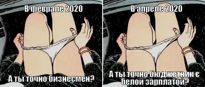 978a9880cc8d7080b748c.webp