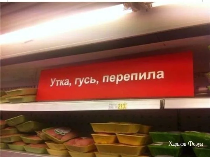 979d74157954f99c4.webp