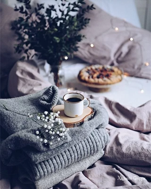 97a2bdf8c687293d.webp