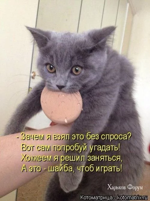 97bb431041fe701f0b65.webp