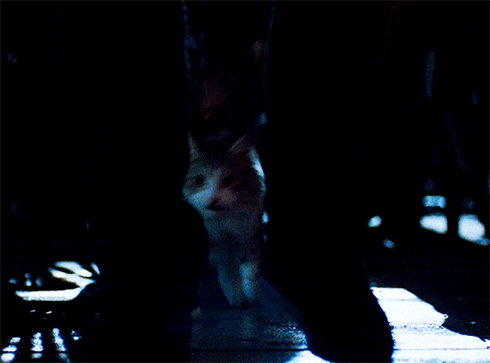 97c9290c93ba4883a1f47146d7f257dde35eb849.gif