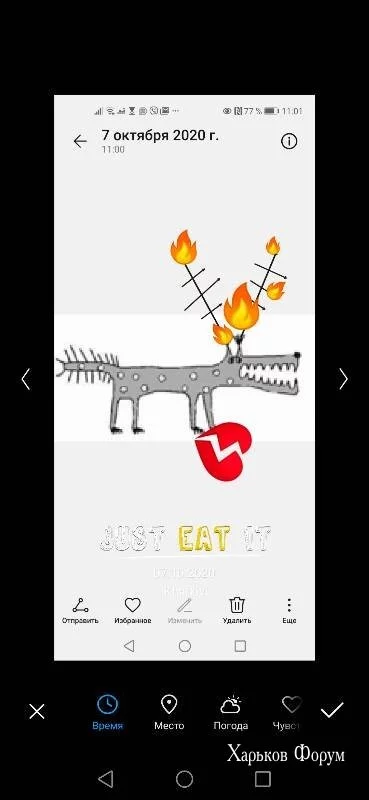 97d7425af99e9207.webp