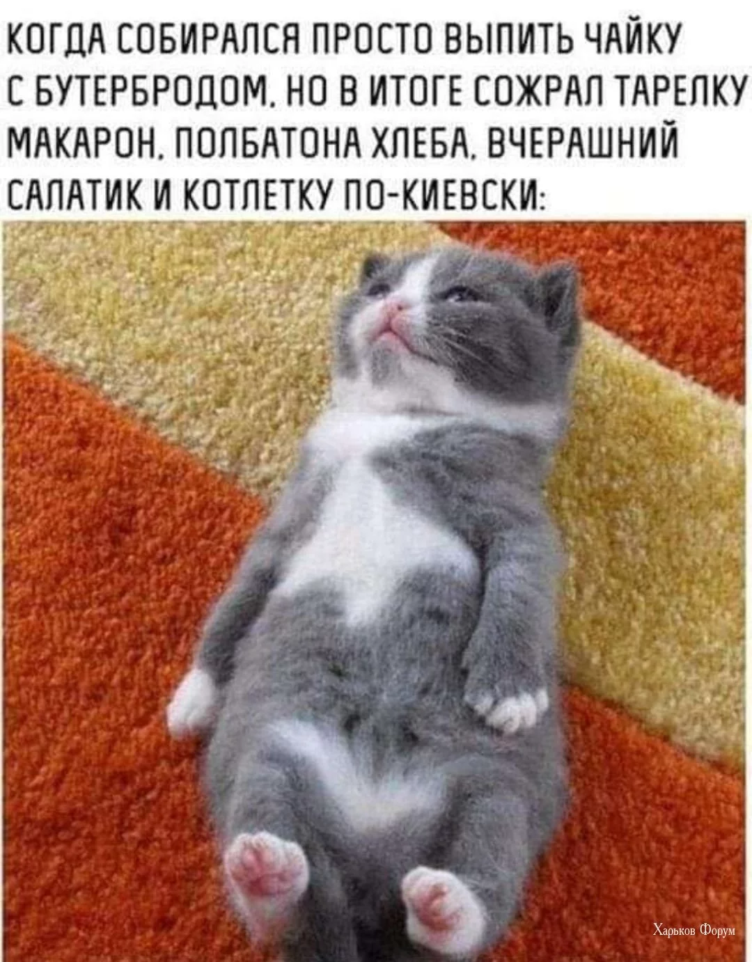 97db022da7e0022a63b87.webp