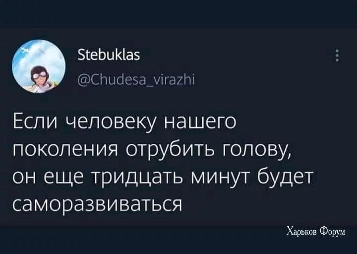 981956f389d8bf880ea10aa.webp