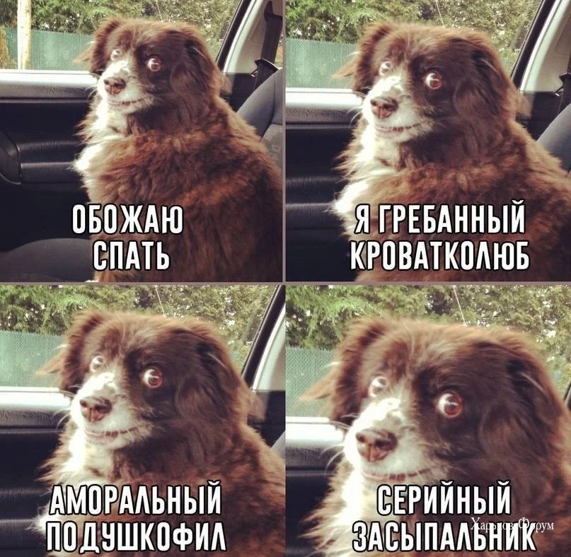 982d143571d78e3129c.webp