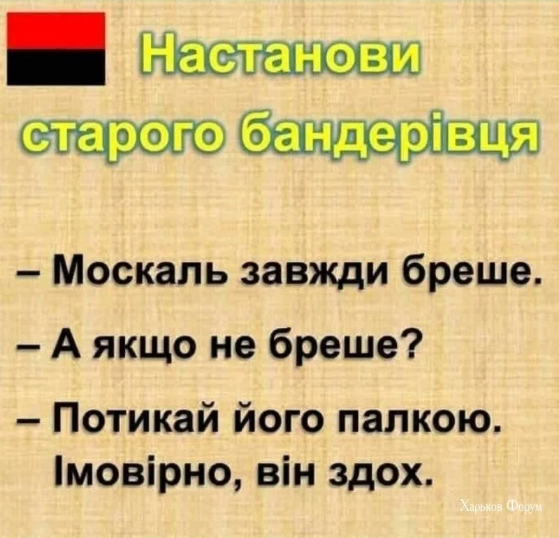 9832d7f19d3817f8737.webp