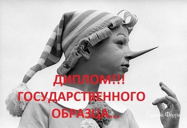 9852fea17f6d2cecb97f02.webp