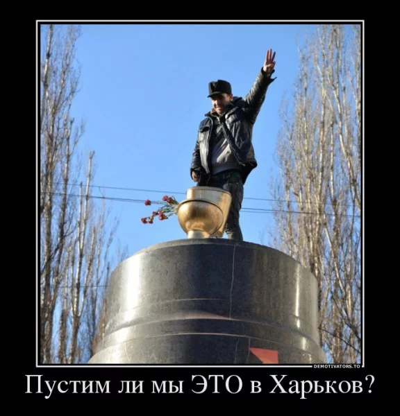 98556_600.webp