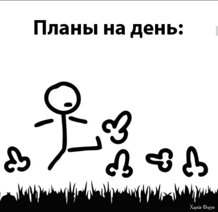 985c186bc8dec4315efdb9fce590964f.webp