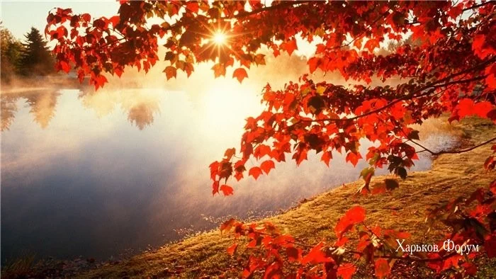 9873a6cd7fd65b8495ad8ff6.webp