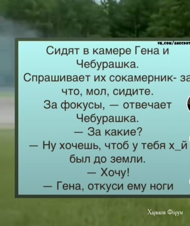 988ff0c0aa36671be.jpg