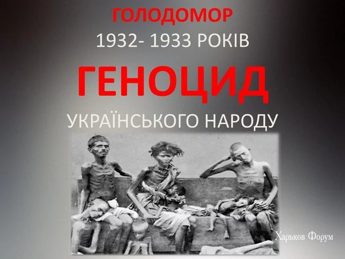 989e0cd20ec10c63275b20.webp