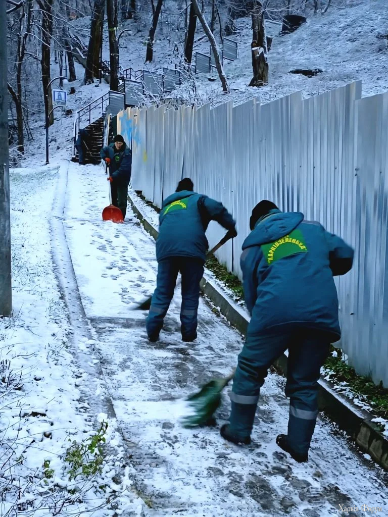Перший сніг у Харкові розчищають комунальники