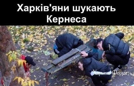 98df3dd01ff3ea7384c.jpg