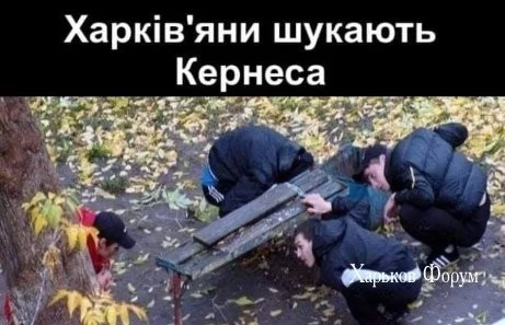 98df3dd01ff3ea7384c.webp
