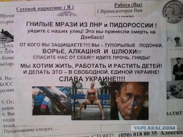 98e67891544b1c1dc4c98fca26cb93e5.webp