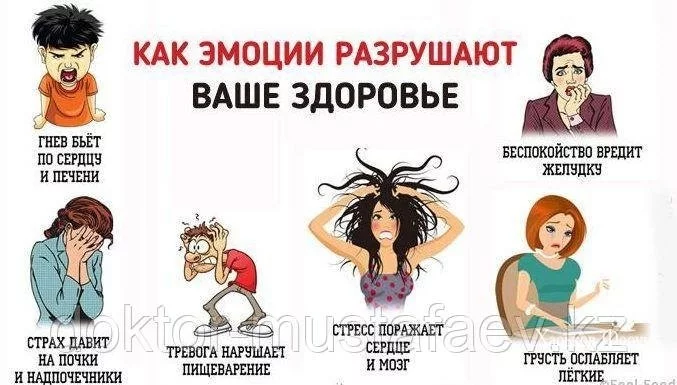 98f602d3aef748dfe9a5.webp