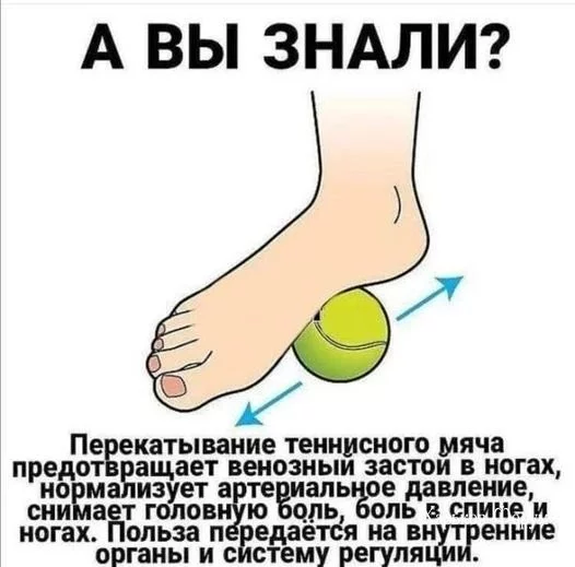 99066bde7dab0eaeced5.webp