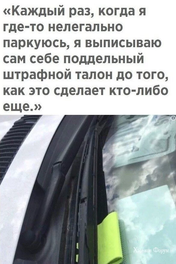 991583b016dd1084ed854b.webp