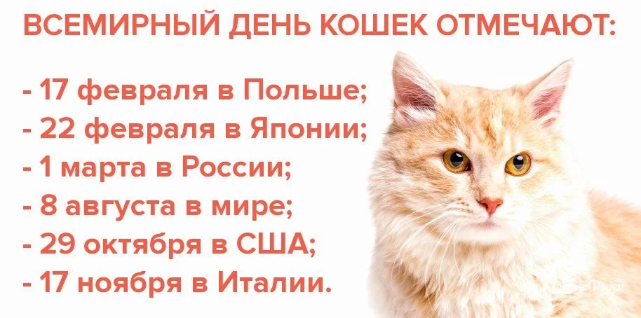 99198aa0d8392765d48.webp