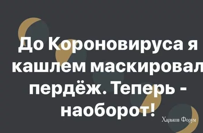 9919fecf88164a1c3affc.webp