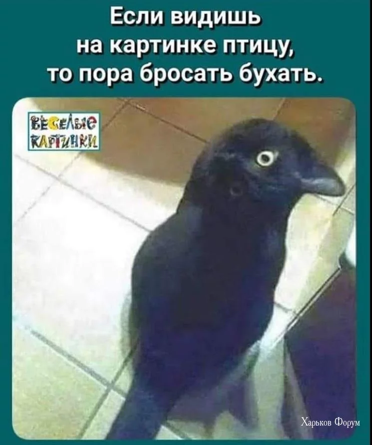991b8dbdecf2e74ac.webp