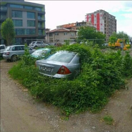9922848.webp