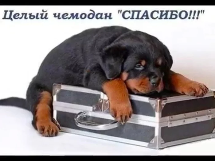 99228749_92156997_image.webp
