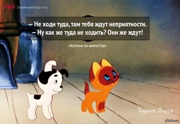 9923210149dc2e569f9.webp