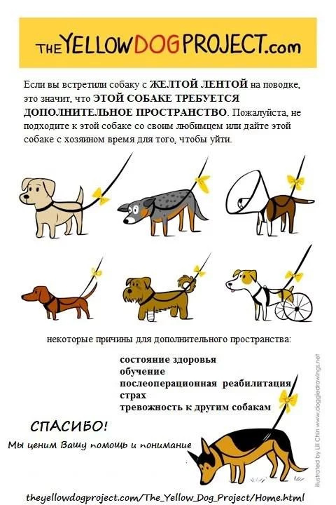 992378_m.webp