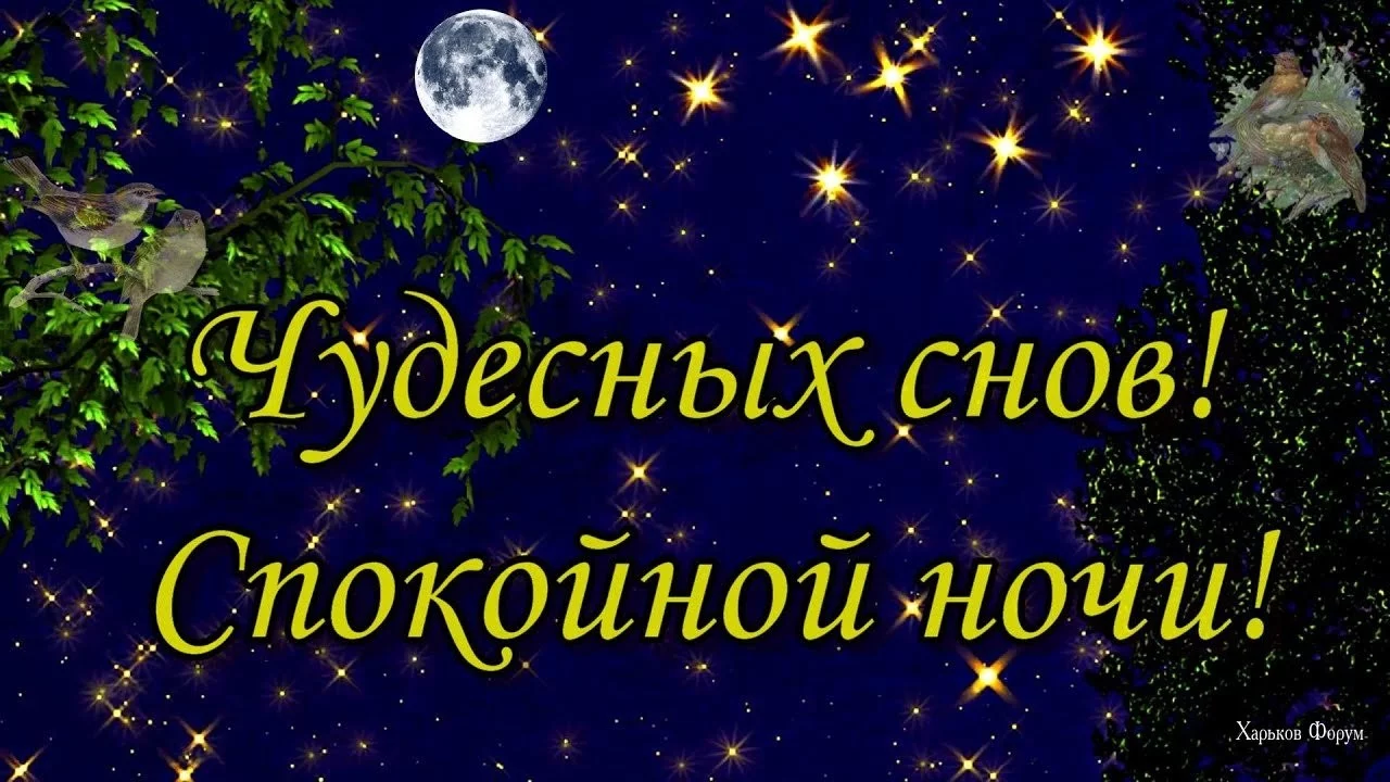 993610fa51563030ff.webp