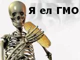 99378.webp